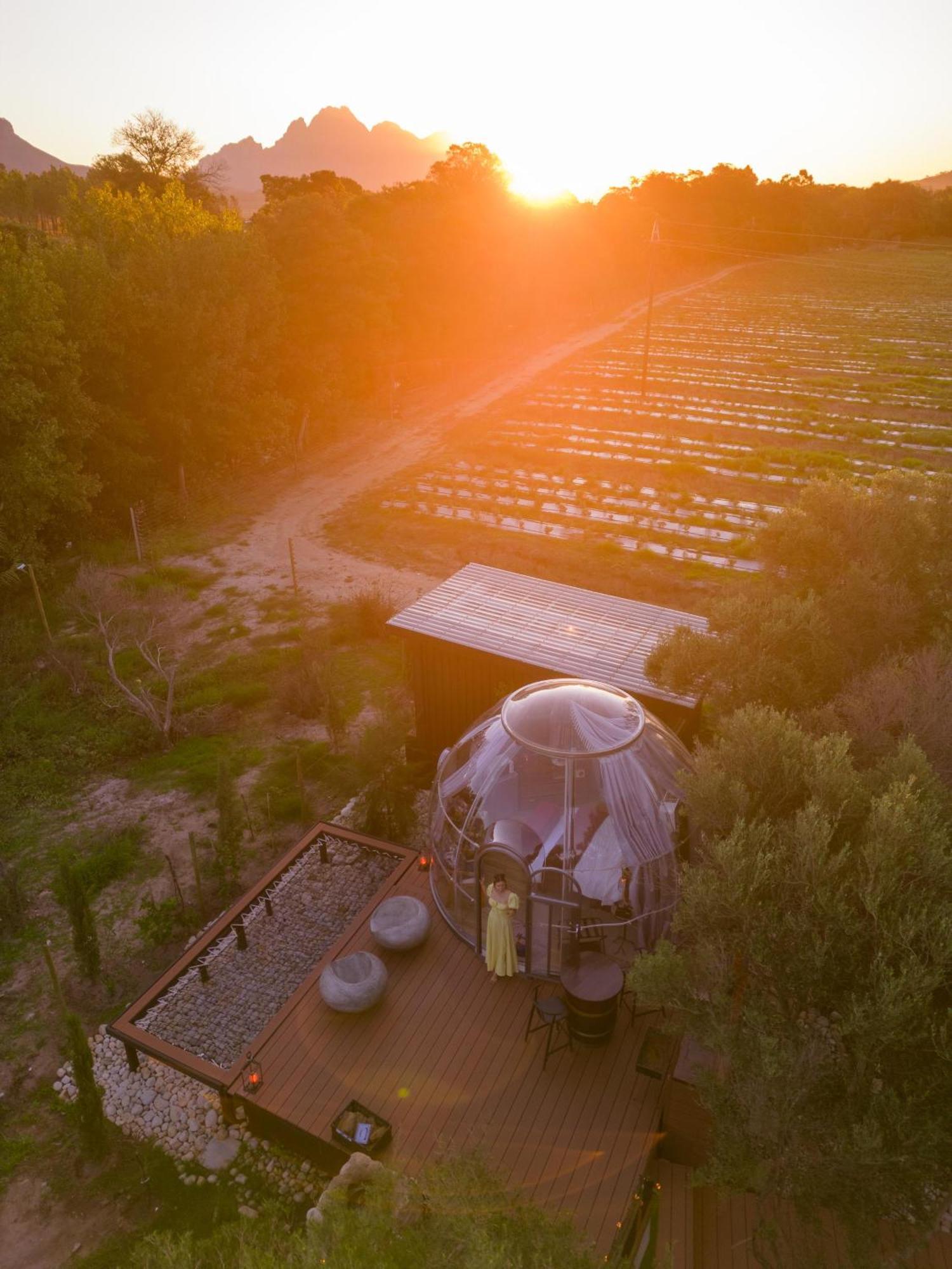 The Vino Dome By Once Upon A Dome Franschhoek Zewnętrze zdjęcie